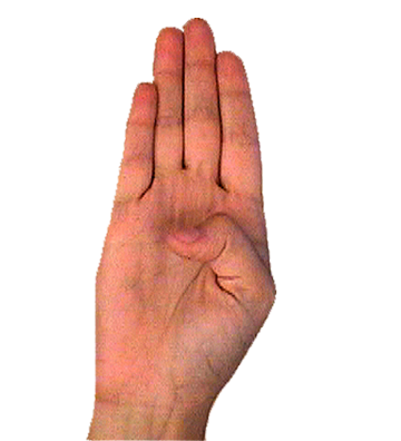 B