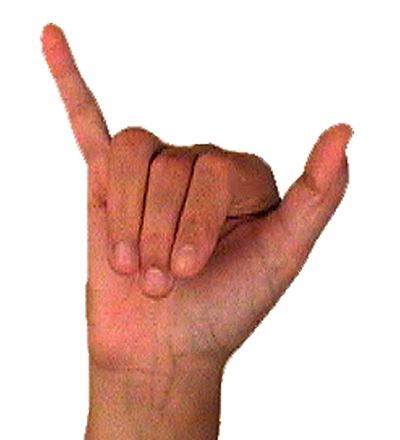 Y
